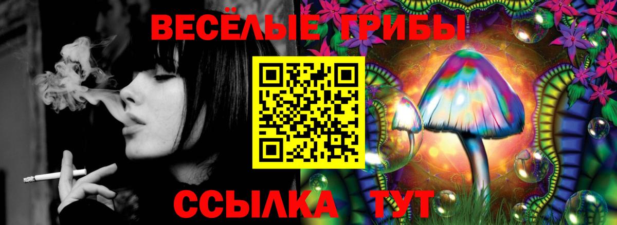 Конопля  Мытищи  Гашиш  ГАШИШ  A PVP СОЛЬ кристаллы  Меф кристаллы  Купить наркотики цена  Вход с VPN 
