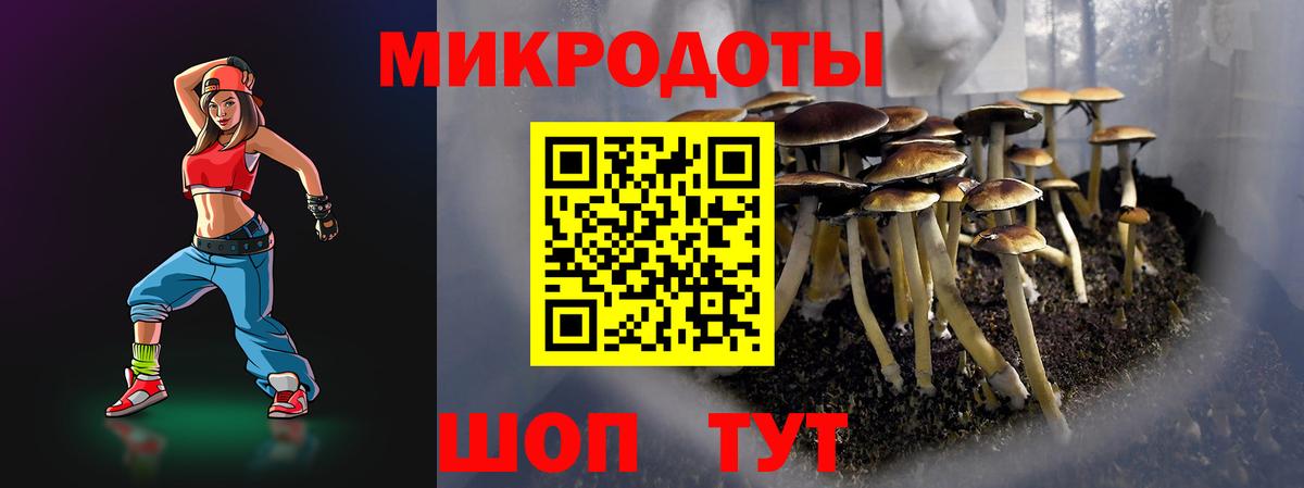 Псилоцибиновые грибы Cubensis  Вход с VPN  Мытищи 