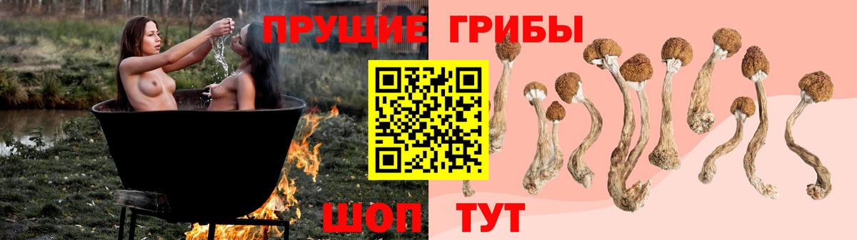 Галлюциногенные грибы мицелий Мытищи