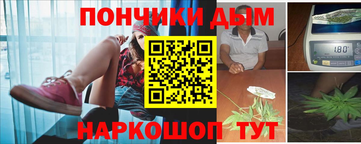 Каннабис план  Вход с VPN  Бошки марихуана ГИДРОПОН  Конопля VHQ  Мытищи 